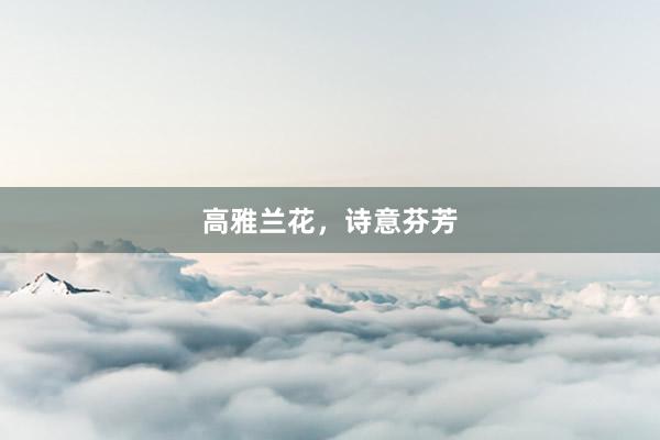 高雅兰花，诗意芬芳