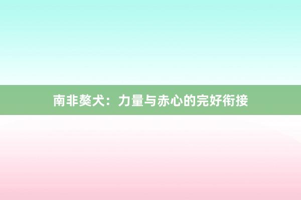 南非獒犬：力量与赤心的完好衔接
