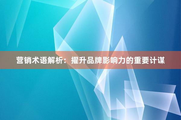 营销术语解析：擢升品牌影响力的重要计谋